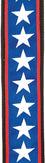 50PLA10 D'Addario 50mm Planet Lock Strap - Stars and Stripes